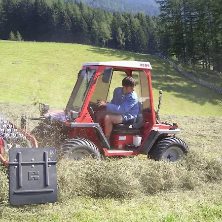 宾馆 Alpengasthaus Gleinserhof