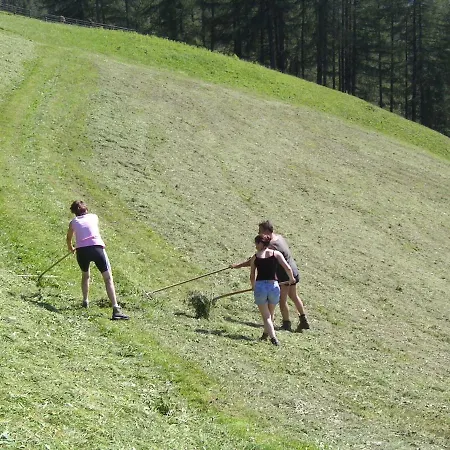 Alpengasthaus Gleinserhof 斯伯格伊姆斯图巴特