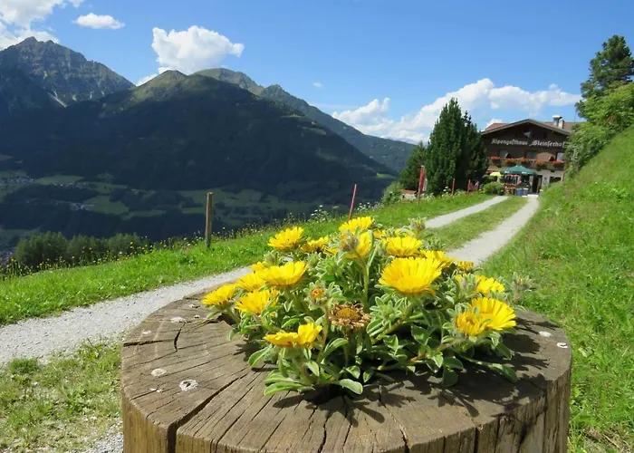Alpengasthaus Gleinserhof Mini-hôtel Schönberg im Stubaital