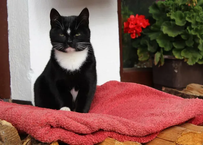 Mini-hôtel Alpengasthaus Gleinserhof