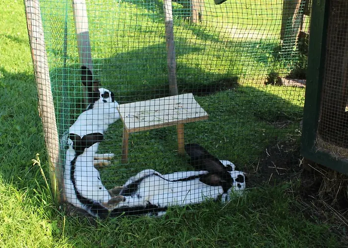 Alpengasthaus Gleinserhof