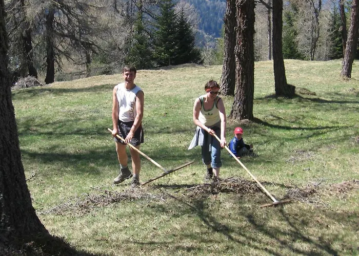 Mini-hôtel Alpengasthaus Gleinserhof 3*