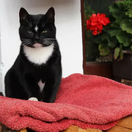 Locanda Alpengasthaus Gleinserhof