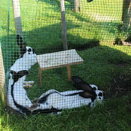 Alpengasthaus Gleinserhof